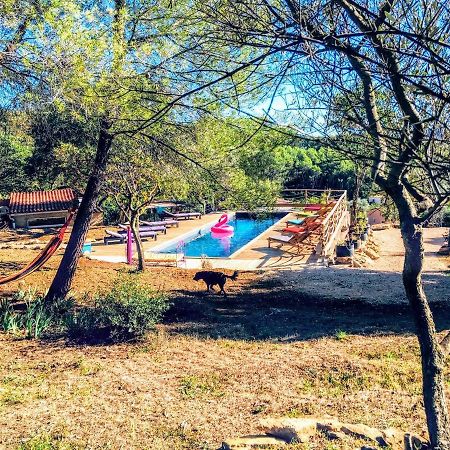 Arche De Noe Atypique, Boheme , Nature, Piscine Chauffee De Paques A Toussaint , Spa , Sauna , Loisirs Le Beausset Exteriér fotografie